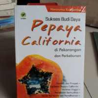 Sukses Budi Daya Pepaya California di Pekarangan dan Perkebunan