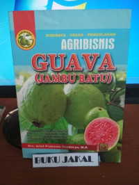 Image of Budidaya - Usaha - Pengolahan Agribisnis Guava (Jambu Batu)