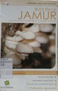 Image of BUDI DAYA JAMUR (JAMUR KUPING , JAMUR TIRAM & JAMUR MERANG )